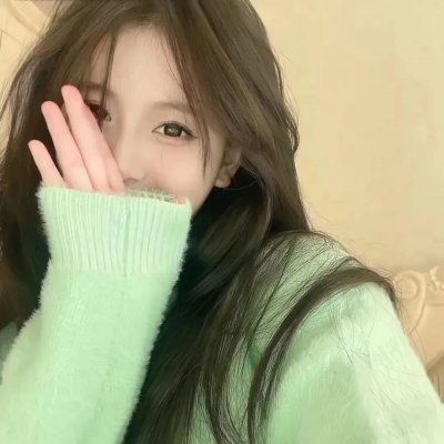 攻壳机动队第二季